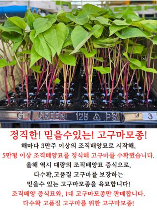 김동수님의 자유주제 · 자유게시판 작성글 사진