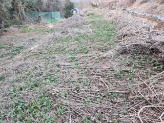 강미화11월출석왕♡님의 일손 구하셨나요? · 참여글 작성글 사진