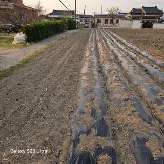 박용열조물주님 님의 자유주제 · 자유게시판 작성글 사진