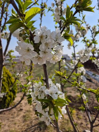 우리농원님의 자유주제 · 자유게시판 작성글 사진