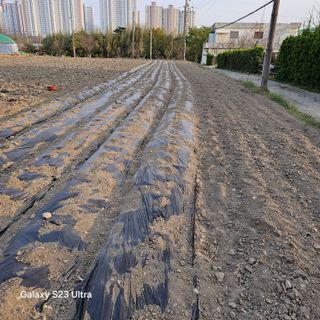 박용열조물주님 님의 자유주제 · 자유게시판 작성글 사진