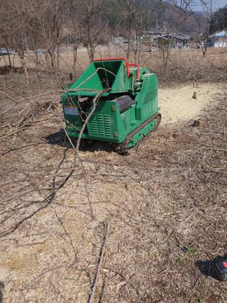 안비님의 자유주제 · 자유게시판 작성글 사진