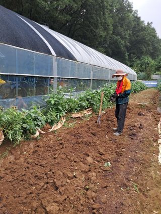 최한기님의 일손 구하셨나요? · 참여글 작성글 사진