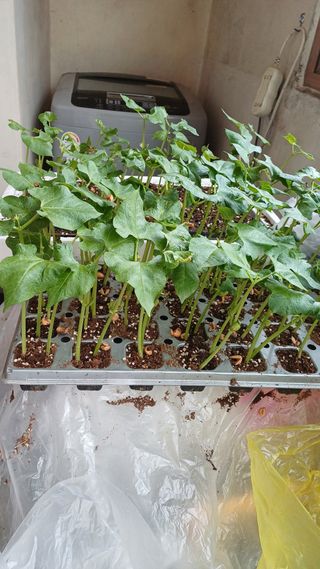 박순덕님의 자유주제 · 자유게시판 작성글 사진