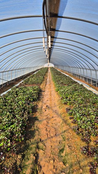 김동수님의 자유주제 · 자유게시판 작성글 사진