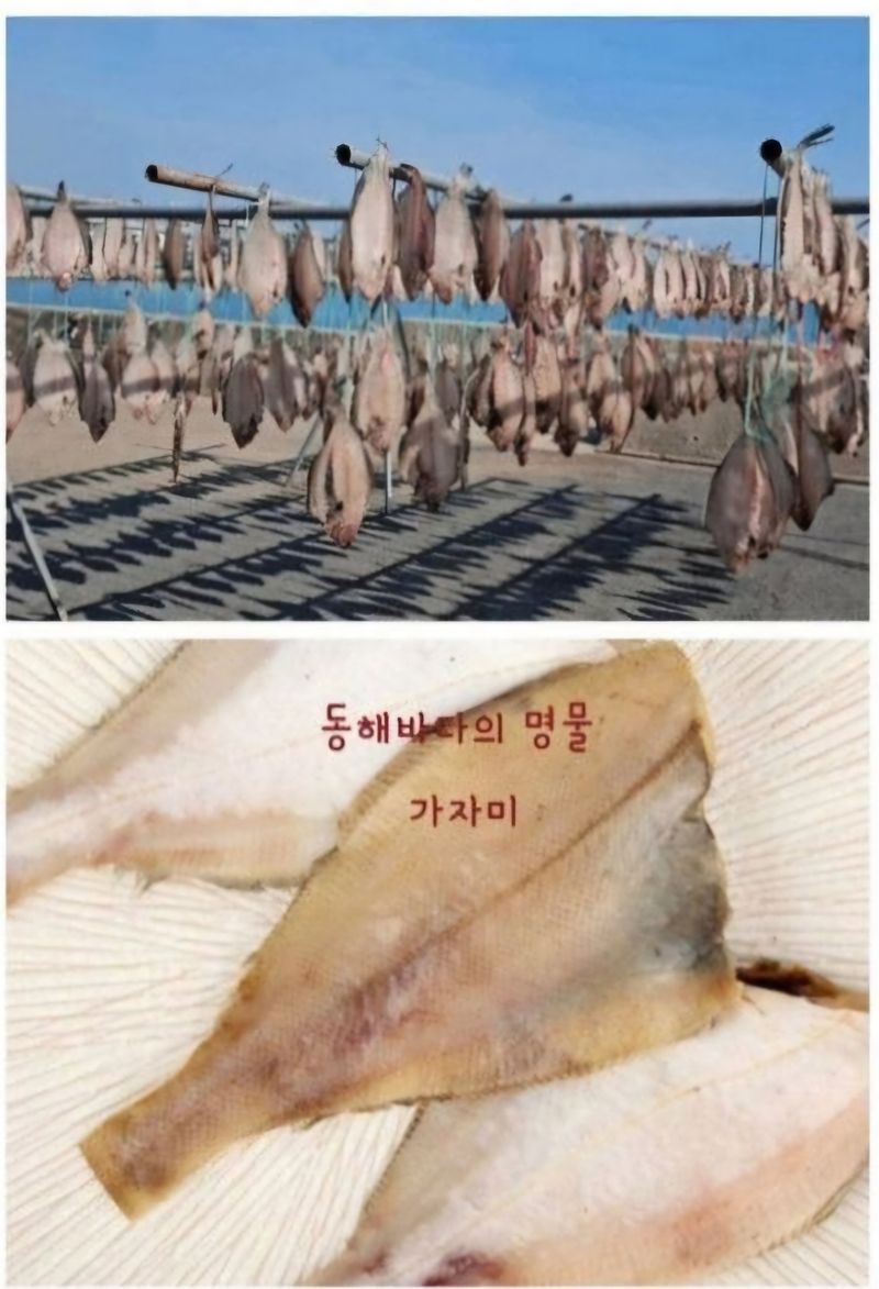 농수사님의 장터 판매 상품 [동해안 자연산 참가자미 물가자미 산지직송 ] 첨부 사진