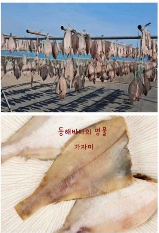 농수사님의 작성글 사진