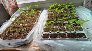 박순덕님의 자유주제 · 자유게시판 작성글 사진