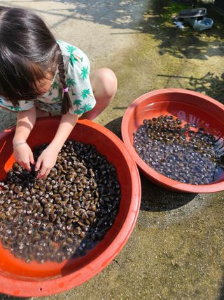 이정1님의 일손 구하셨나요? · 참여글 작성글 사진