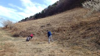 이순기님의 농사, 무엇이든 물어보세요! · 참여글 작성글 사진