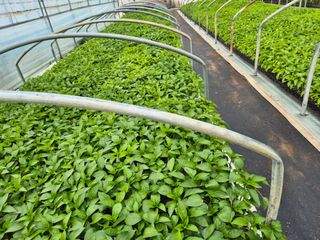 김영진(전남영광)님의 자유주제 · 자유게시판 작성글 사진