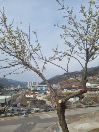 김용대님의 자유주제 · 자유게시판 작성글 사진