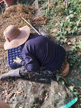 최한기님의 일손 구하셨나요? · 참여글 작성글 사진