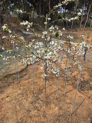 자연인님의 자유주제 · 자유게시판 작성글 사진