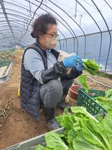 팜모닝 일손 구하셨나요?·참여글 게시글 이미지