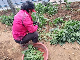 최한기님의 일손 구하셨나요? · 참여글 작성글 사진