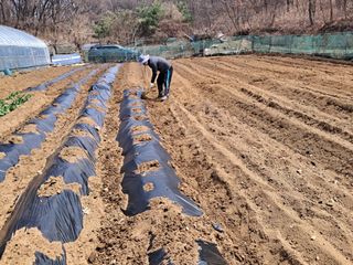 최한기님의 일손 구하셨나요? · 참여글 작성글 사진
