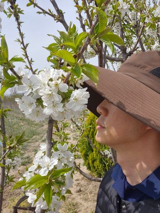 우리농원님의 자유주제 · 자유게시판 작성글 사진