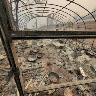 정연섭님의 자유주제 · 자유게시판 작성글 사진