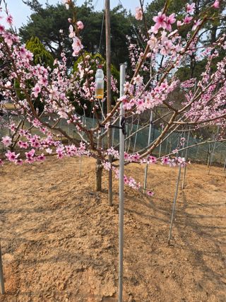 자연인님의 자유주제 · 자유게시판 작성글 사진