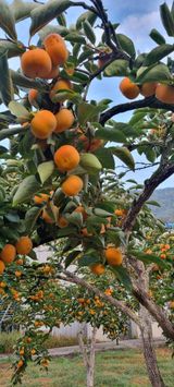 팜모닝 일손 구하셨나요?·참여글 게시글 이미지