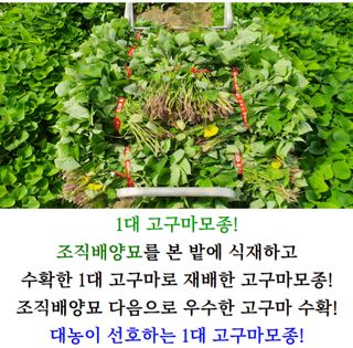 김동수님의 자유주제 · 자유게시판 작성글 사진
