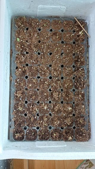 박순덕님의 자유주제 · 자유게시판 작성글 사진