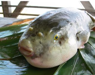 김진국님의 작성글 사진