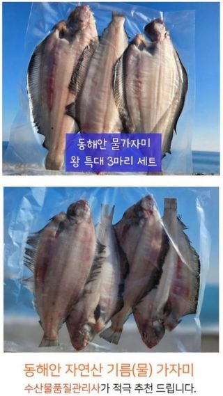 농수사님의 작성글 사진