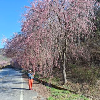 오영도님의 자유주제 · 자유게시판 작성글 사진