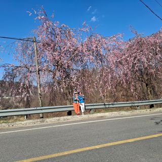 오영도님의 자유주제 · 자유게시판 작성글 사진