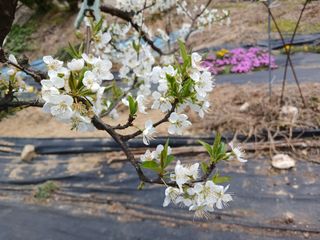 금동이네님의 자유주제 · 자유게시판 작성글 사진