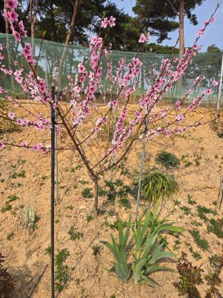 자연인님의 자유주제 · 자유게시판 작성글 사진