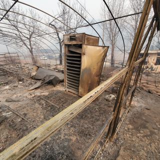 정연섭님의 자유주제 · 자유게시판 작성글 사진