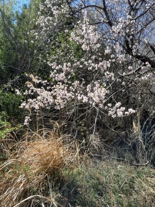 김민수산에서농사중님의 자유주제 · 자유게시판 작성글 사진