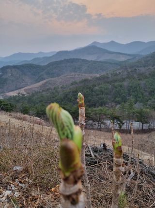 팜모닝회원 정정섭 님의 일손 구하셨나요? · 참여글 작성글 사진