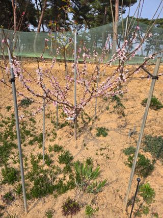 자연인님의 자유주제 · 자유게시판 작성글 사진