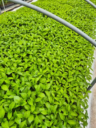 김영진(전남영광)님의 자유주제 · 자유게시판 작성글 사진