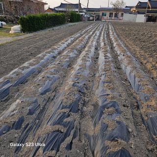 박용열조물주님 님의 자유주제 · 자유게시판 작성글 사진