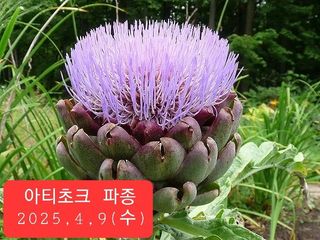 송완춘님의 자유주제 · 자유게시판 작성글 사진