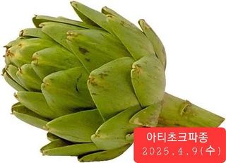 송완춘님의 자유주제 · 자유게시판 작성글 사진