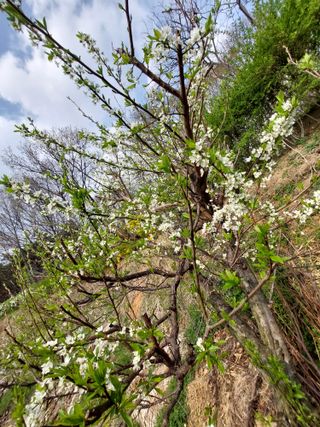 재연농장님의 자유주제 · 자유게시판 작성글 사진