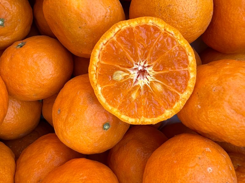 장터 상품 [맛있는 카라향 입니다.] 썸네일