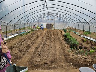 조정숙(1955)님의 자유주제 · 자유게시판 작성글 사진