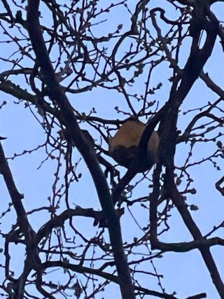 김똘숙님의 농사, 무엇이든 물어보세요! · 참여글 작성글 사진