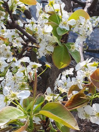 하나라도 소중하게님의 자유주제 · 자유게시판 작성글 사진