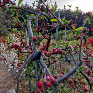 김재열님의 자유주제 · 자유게시판 작성글 사진