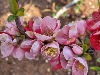 김재열님의 자유주제 · 자유게시판 작성글 사진