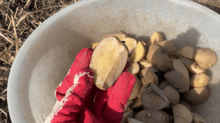 누보농장님의 자유주제 · 자유게시판 작성글 사진