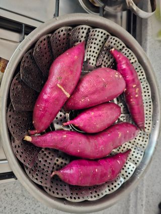 연모 자연의행복님의 자유주제 · 자유게시판 작성글 사진